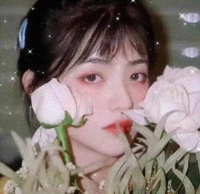 最新剧集
