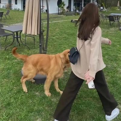 勇破黑社会